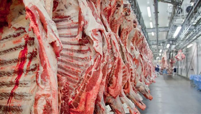  Exportação de carne bovina bate recorde em mês anterior ao tarifaço 